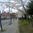 율동초등학교 이미지