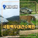 원대 수목원 | 경북 봉화 추천 여행지 : 국립백두대간수목원｜트램 타고 호랑이 만나러 가요!