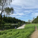 성복2로 2-1L | 용인시 수지구청역 근처 아파트 실거주 1년차 후기🌸