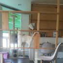 호텔엘린 이미지