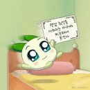 제2부도로 | 소나무 예비신부의 백색지 케이드레스 연회장/2부 드레스 계약 후기