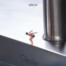 백조산업