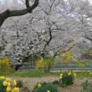 유달산우체국 주차장 이미지