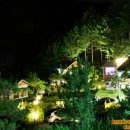 비발디 스케치북 이미지