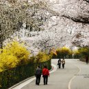 남산 산책로 이미지