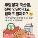 [미트위키 축산정보] 무항생제 축산물 인증? 그건 뭔가요?