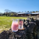 호텔 디 이미지