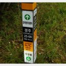 포항상생숲길 이미지