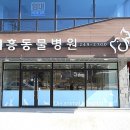 대흥동물병원 이미지