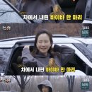 바야바헤어
