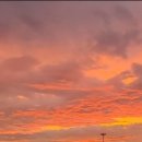 고성천진코아루부동산공인중개사사무소 이미지