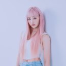 다즐(DAZZLE) 티브이데일리