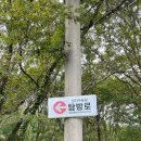 삼다수숲길 2코스 | 제주 삼다수숲길 탐방 후기, 가벼운 등산코스 및 주차 꿀팁