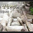 차령농산