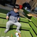 다육 놀이터