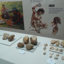 충남대학교박물관 이미지