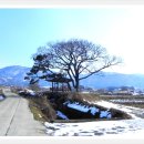 호수공원1길 이미지