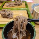 경남 진주 평거동 초밥 가성비 좋은 상무초밥 내돈내산 솔직후기