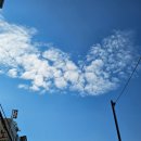 장위14 | [서울걷기] 화창한 가을날 북서울꿈의숲 산책, 장위기사식당 돼지불백, 버터글로브 휘낭시에