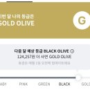 브로우앤닷(Browndot) | 올리브영 vvip가 말아주는 내돈내산 추천템 3