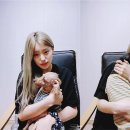 예지네일 이미지