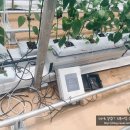 연곡농장 이미지