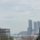 부산여자고등학교터 | 지점장의 [장우손부산어묵 남포 본점] (이재용회장님의 부산 깡통시장 맛집)