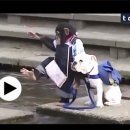 강아지PC 이미지