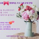 시호미래작은도서관 이미지