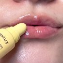 365일 | 1년365일 립밤 바르는 사람의 엠퍼시 립밤 후기