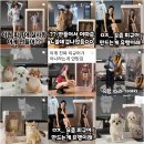 피규어 만들기 이미지