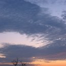 추억의7080 이미지