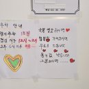 울릉도꼬마김밥 이미지
