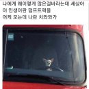 # 23년 9월 일상/ 땀나고 반팔입는 가을