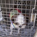 학산지구대 이미지