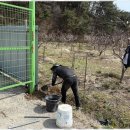 담장예쁜집 이미지