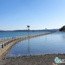 웅도 어촌체험마을 이미지