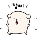 여수딸기모찌(U.S당) 돌산점