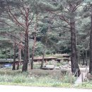 소나무와황토민박 이미지