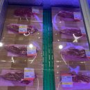 대중한우 농장 | 군포소고기 맛집 한우암소본가 의왕 연말모임 회식장소