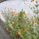 갓바위미술관 | 연휴 낭비하기 1등은 바로 나! 벌써 10월 중순이라니