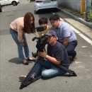 마이더스법률사무소 이미지