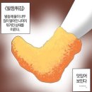 대성여자중학교 | [독학사] 1단계 5과목 독학 노베이스 시험후기