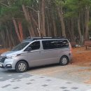 삼봉자동차야영장 이미지