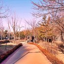 허준테마거리 이미지