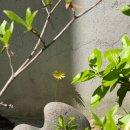 엘클래식의원 이미지