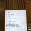 도레도레롯데몰수지점 | 수지 롯데몰 카페 케이크맛집 도레도레 다녀온 후기