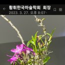 법인석곡