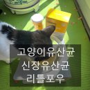 제이디바이오 | 신부전 신장 안좋은 고양이 노령묘 영양제] 장부터 신장까지 케어하는 리틀포우 트리플 바이오 컴플리트
