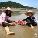 월하성어촌체험마을 이미지